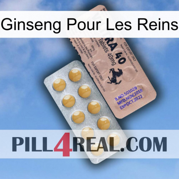 Ginseng For Kidney 41
